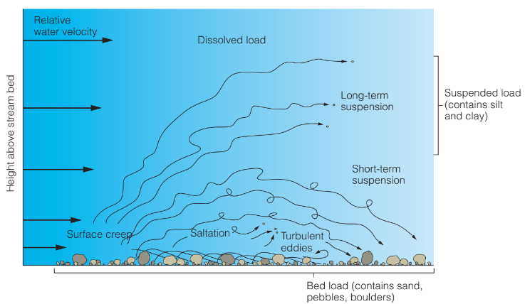 Transported Rocks Sustainable Forest Environment (SFE)