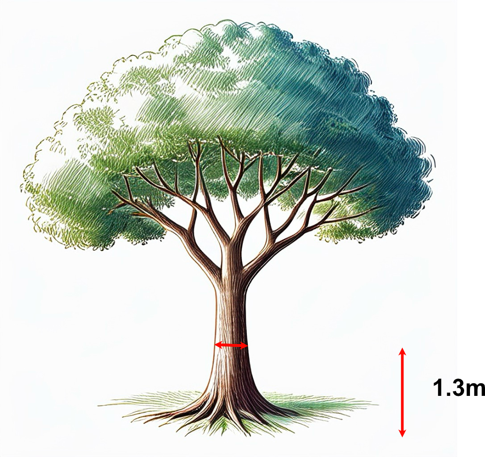 Sustainable Forest Environment (SFE)