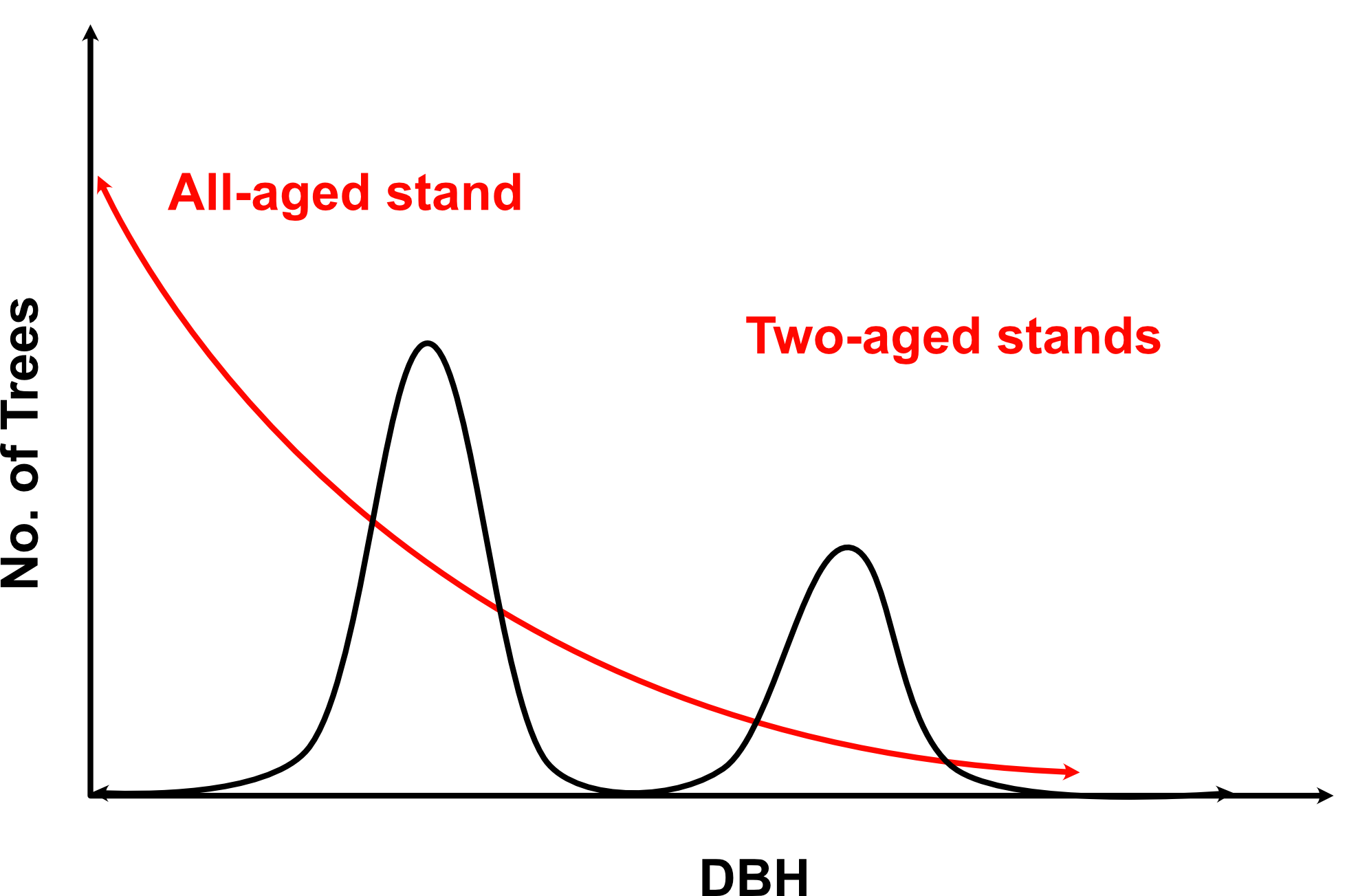 Sustainable Forest Environment (SFE)